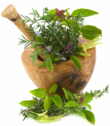 medicina traditionala