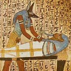 EGYPTIAN TRADITIONAL MEDICINE
